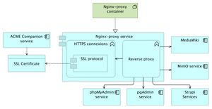 Nging-proxy service.jpg