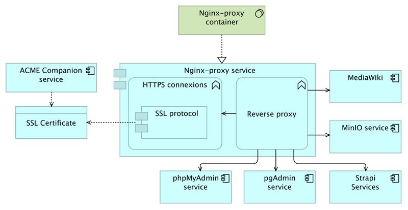 File:Nging-proxy service.jpg